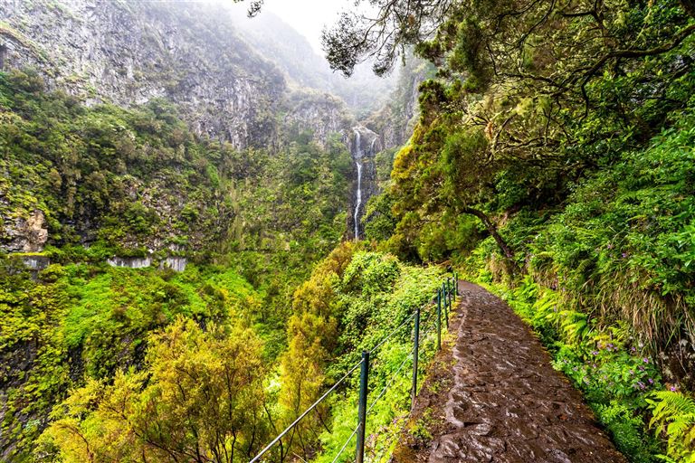 Wanderparadies Madeira @Alessandro Persiani/adobestock